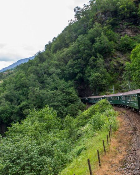 Comment organiser un voyage parfait sur l'incroyable chemin de fer de Flåm en Norvège 17 Comment organiser un voyage parfait sur l'incroyable chemin de fer de Flåm en Norvège - 16