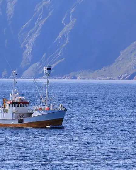 L'UE conclut des accords avec la Norvège et le Royaume-Uni, ainsi que des accords bilatéraux avec la Norvège, sur les possibilités de pêche et l'accès aux eaux pour 2024. - 17