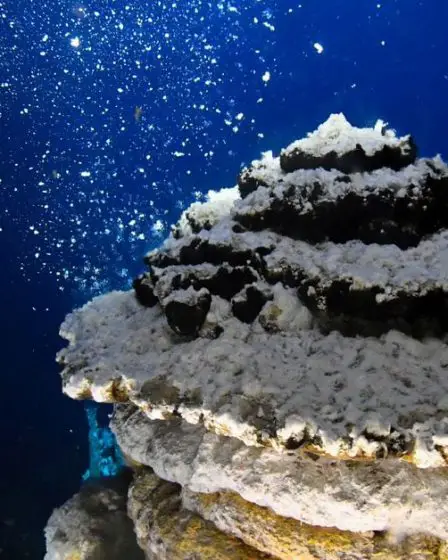 L'accord conclu par le parlement norvégien marque une étape importante vers l'exploitation minière des fonds marins 17 L'accord conclu par le parlement norvégien marque une étape importante vers l'exploitation minière des fonds marins - 16