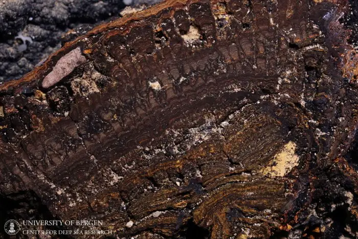 Coupe transversale d'une croûte de manganèse au fond de la mer de Norvège