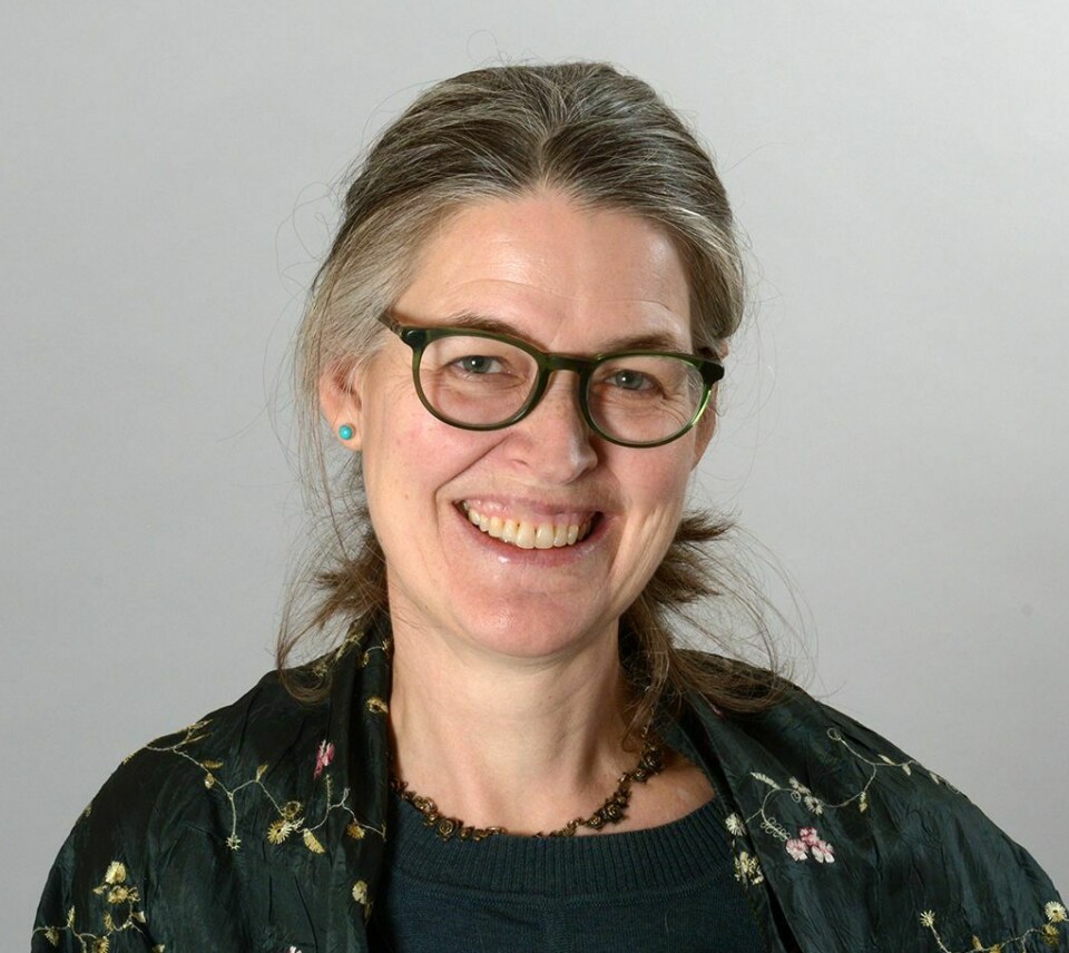 Les artistes ont contribué à une nouvelle vision de la nature norvégienne, selon Torild Gjesvik, professeur associé à l'UiO. Des artistes ont contribué à une nouvelle vision de la nature norvégienne, selon le professeur associé Torild Gjesvik de l'UiO.