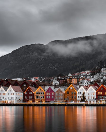 10 romans d'écrivains norvégiens BIPOC - 1
