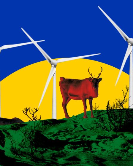 La Norvège doit verser des millions aux éleveurs de rennes samis pour avoir violé leurs droits de l'homme 20 La Norvège doit verser des millions aux éleveurs de rennes samis pour avoir violé leurs droits de l'homme - 19