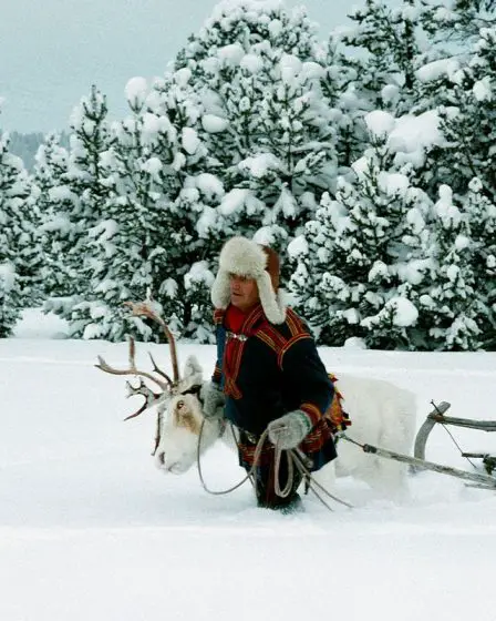 La Norvège doit verser des millions aux éleveurs de rennes samis pour avoir violé leurs droits de l'homme - 1