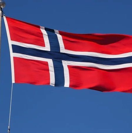 La Norvège approuve la vente directe d'armes à l'Ukraine. 20 La Norvège approuve la vente directe d'armes à l'Ukraine. - 19