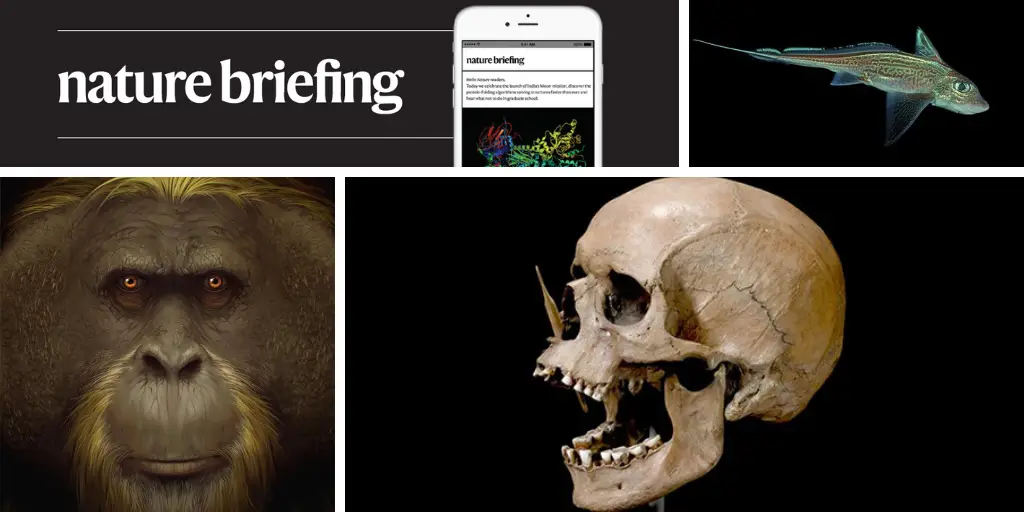 La Norvège est la première à approuver l'exploitation controversée des fonds marins 6 La Norvège est la première à approuver l'exploitation controversée des fonds marins - 5