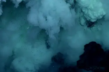 Environmental Justice Foundation - La décision de la Norvège d'aller de l'avant... - 10