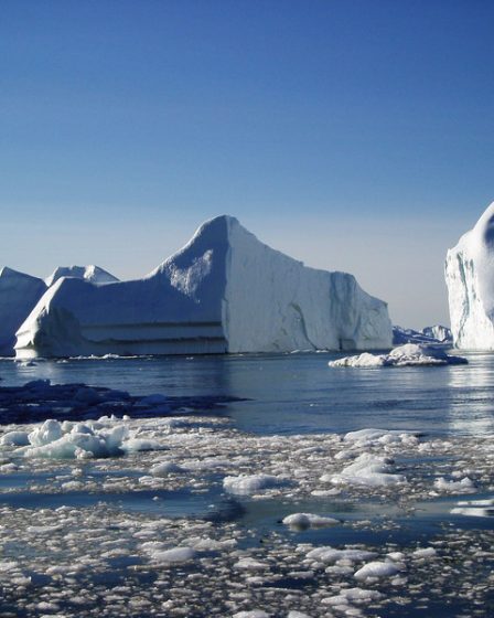 Appelez l'exploitation minière norvégienne en eaux profondes dans l'Arctique pour ce qu'elle est : un écocide 2 Appelez l'exploitation minière norvégienne en eaux profondes dans l'Arctique pour ce qu'elle est : un écocide - 1