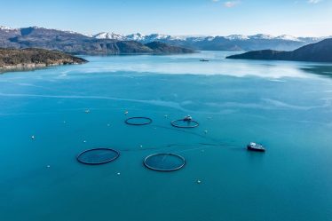 L'industrie norvégienne du saumon d'élevage accusée de "colonialisme alimentaire" dans un nouveau rapport - 20
