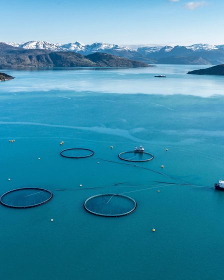 L'industrie norvégienne du saumon d'élevage accusée de "colonialisme alimentaire" dans un nouveau rapport - 1