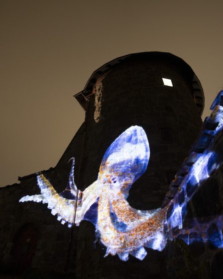 Le projet norvégien d'exploitation minière en eaux profondes consterne les experts 14 Le projet norvégien d'exploitation minière en eaux profondes consterne les experts - 13