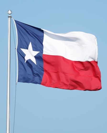 Le mot "Texas" est-il synonyme de "fou" en Norvège ? 8 Le mot "Texas" est-il synonyme de "fou" en Norvège ? - 7