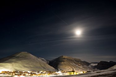Les chats sont interdits dans la ville de Longyearbyen, en Norvège ? - 8