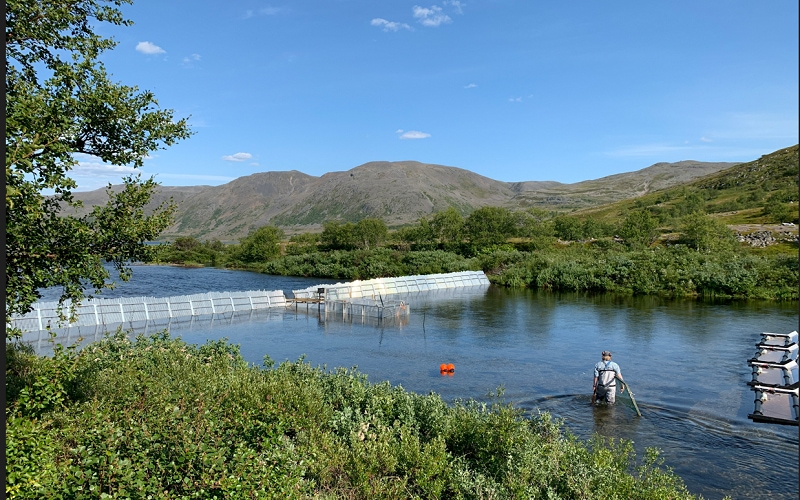 Huawei et BJFF remportent le prix GSMA GLOMO pour un projet de conservation du saumon en Norvège 9 tunnel dans la rivière