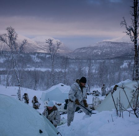 Actualités : Il n'y a pas de business comme le business de la neige - Les Marines américains renforcent leurs compétences dans l'Arctique norvégien , 12-Mar.-2024 - 1