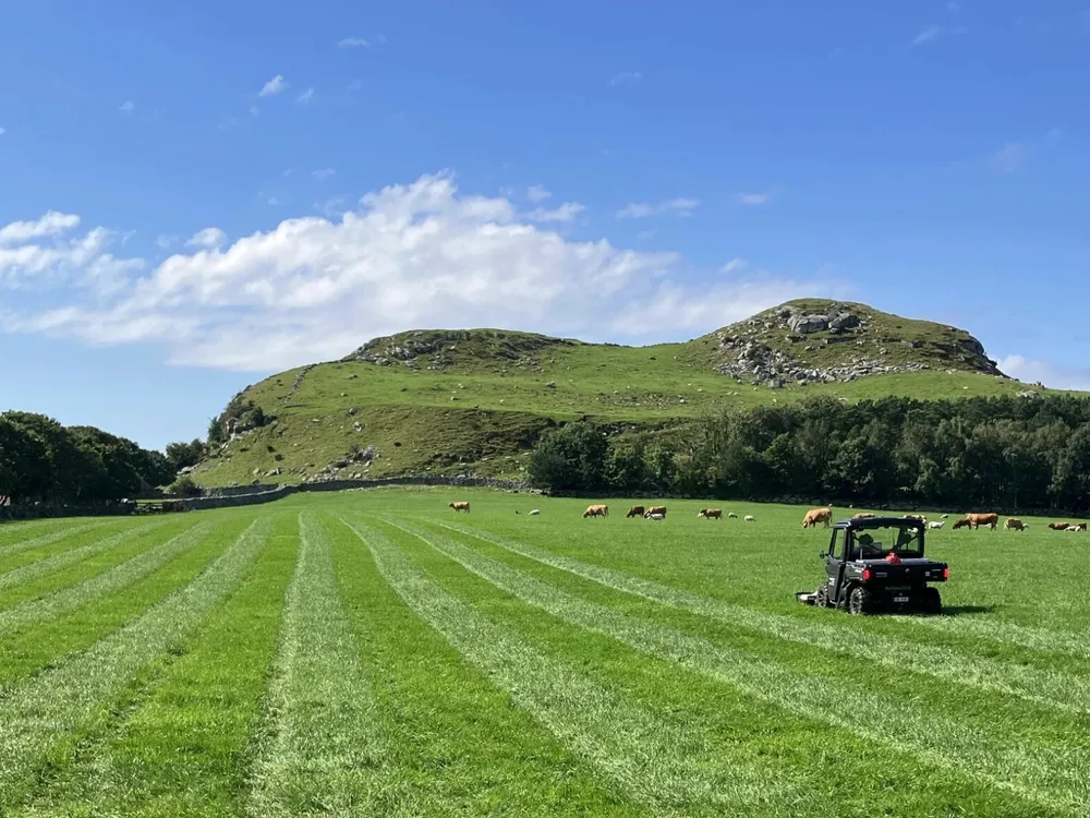 Des archéologues pourraient avoir trouvé des traces d'un marché viking en Norvège | Smart News 9 Voiture radar au jardin d'Utstein