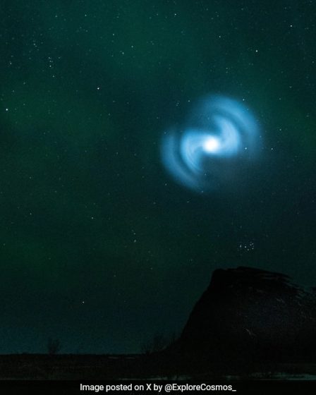 Visiteur extraterrestre ou autre chose ? 2 Visiteur extraterrestre ou autre chose ? - 1