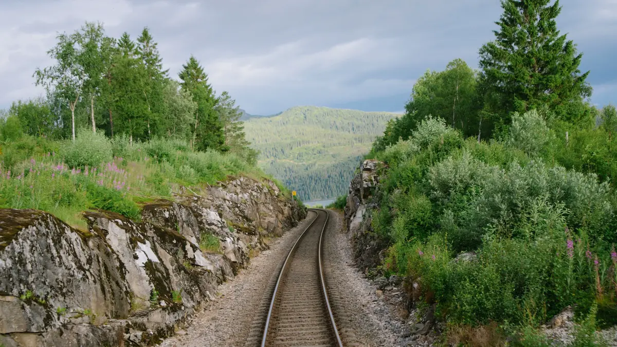 Comment se rendre en train d'Oslo au cercle polaire norvégien ? 6 Comment se rendre en train d'Oslo au cercle polaire norvégien ? - 5