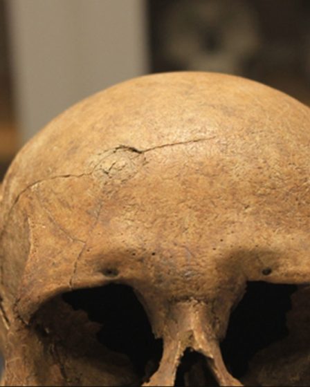 Parmi les sociétés vikings, la Norvège était bien plus violente que le Danemark 2 Parmi les sociétés vikings, la Norvège était bien plus violente que le Danemark - 1