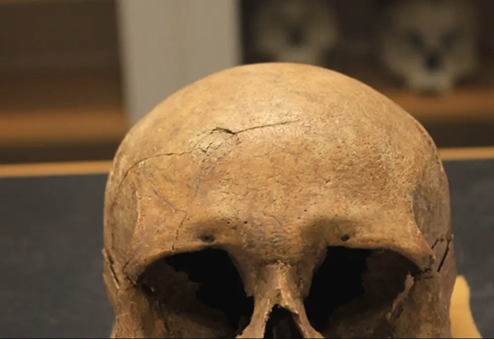Parmi les sociétés vikings, la Norvège était bien plus violente que le Danemark 4 Parmi les sociétés vikings, la Norvège était bien plus violente que le Danemark - 3