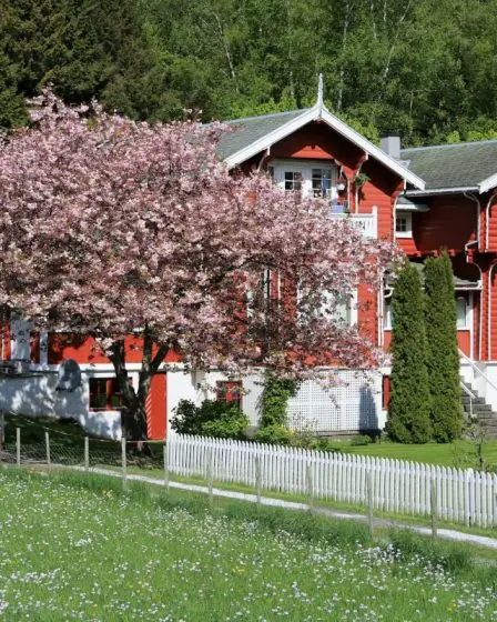 La Norvège locale 2 La Norvège locale - 1