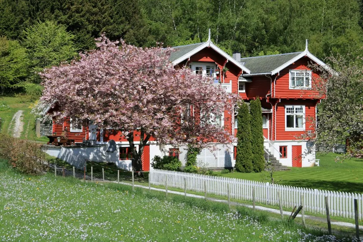 La Norvège locale 4 La Norvège locale - 3