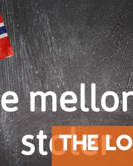 Expression norvégienne du jour : Falle mellom to stoler 11 Expression norvégienne du jour : Falle mellom to stoler - 10