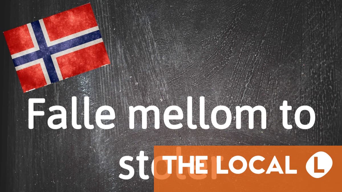 Expression norvégienne du jour : Falle mellom to stoler 4 Expression norvégienne du jour : Falle mellom to stoler - 3