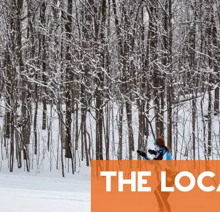 Dix signes indiquant que vous devenez plus norvégien que les Norvégiens 23 Dix signes indiquant que vous devenez plus norvégien que les Norvégiens - 22