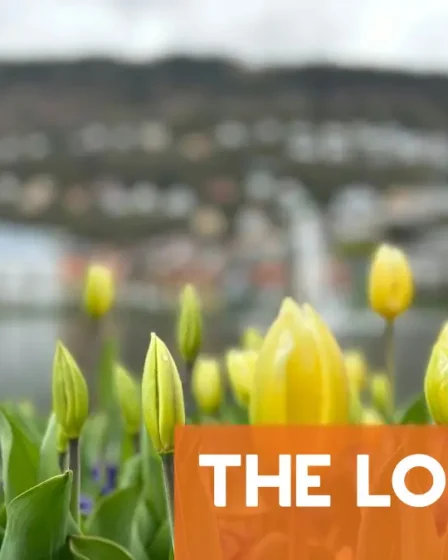 Tout ce qui change en Norvège en avril 2025 14 Tout ce qui change en Norvège en avril 2025 - 13