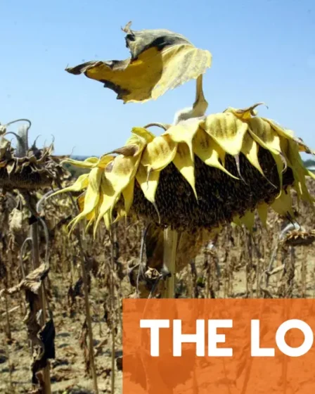 Les scientifiques confirment que l'Europe vient de connaître le mois de mars le plus chaud de son histoire 2 Les scientifiques confirment que l'Europe vient de connaître le mois de mars le plus chaud de son histoire - 1