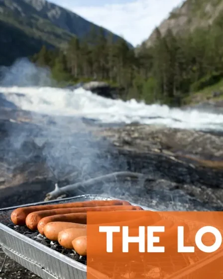 Pourquoi les hot-dogs et autres produits norvégiens de base devront-ils changer en raison des règles de l'UE ? 48 Pourquoi les hot-dogs et autres produits norvégiens de base devront-ils changer en raison des règles de l'UE ? - 47