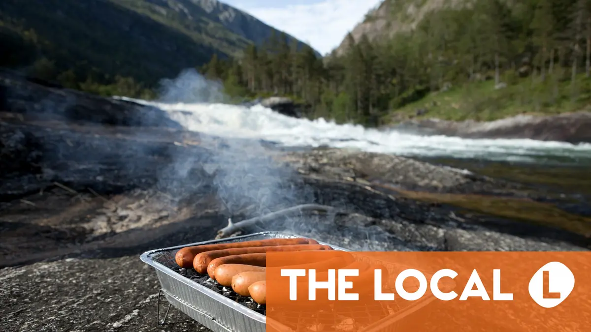 Pourquoi les hot-dogs et autres produits norvégiens de base devront-ils changer en raison des règles de l'UE ? 4 Pourquoi les hot-dogs et autres produits norvégiens de base devront-ils changer en raison des règles de l'UE ? - 3