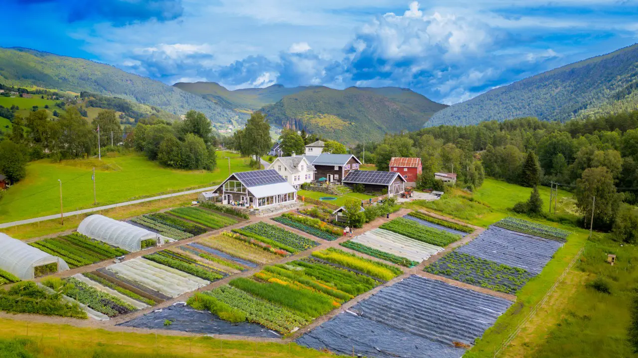 Dix superbes villages norvégiens à visiter absolument 46 Dix superbes villages norvégiens à visiter absolument - 45