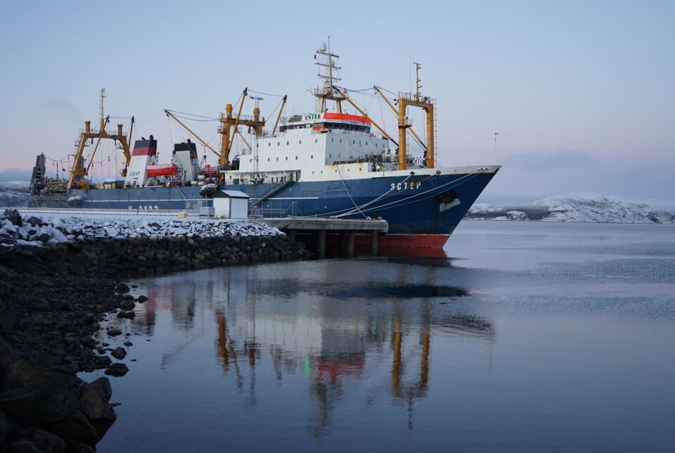 A Russian fish-factory trawler Ester in the port of Kirkenes in 2023. La Norvège reste incertaine sur les refus de ports malgré les avertissements de l'UE sur les plans de sabotage - 16