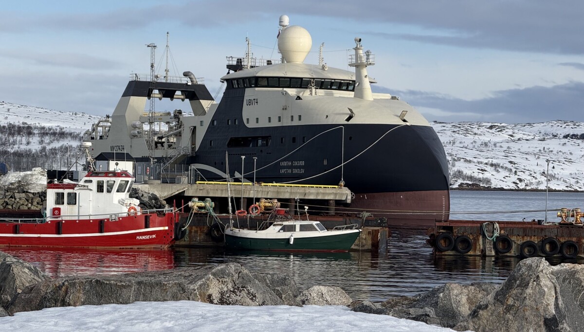 La Norvège reste incertaine sur les refus de ports malgré les avertissements de l'UE sur les plans de sabotage 12 La Norvège reste incertaine sur les refus de ports malgré les avertissements de l'UE sur les plans de sabotage - 11