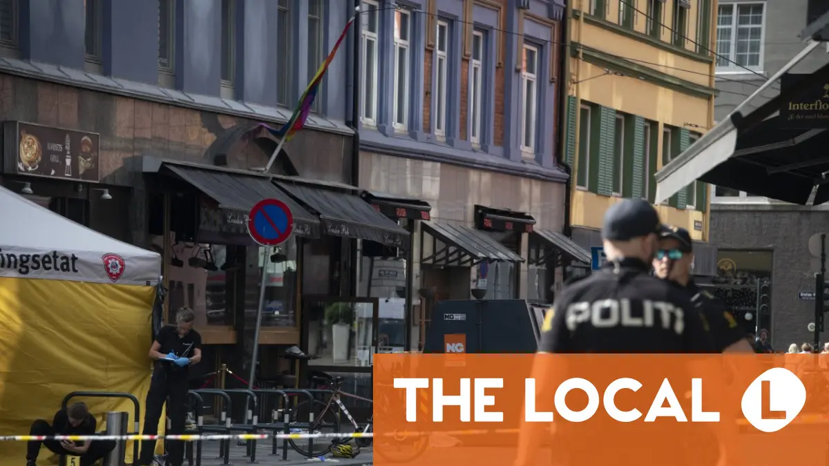 En Norvège, la police peut désormais patrouiller dans les rues avec des armes à feu 4 En Norvège, la police peut désormais patrouiller dans les rues avec des armes à feu - 3