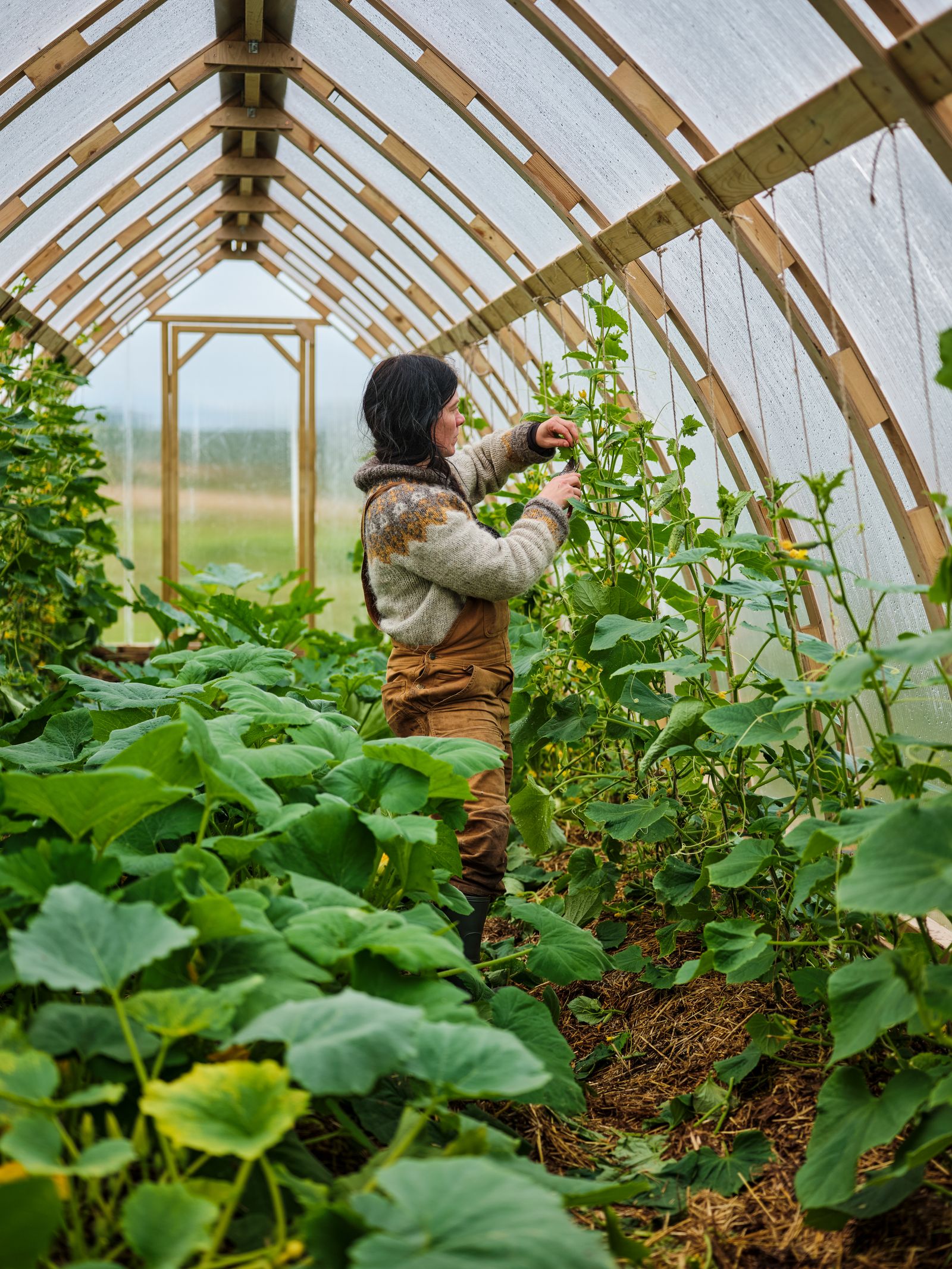 Récolter et déguster les paysages sauvages de Norvège en naviguant le long de la côte 16 L'image peut contenir Garden Nature Outdoors Herbal Herbs Plant Gardening Jar Planter Potted Plant Pottery and Vase