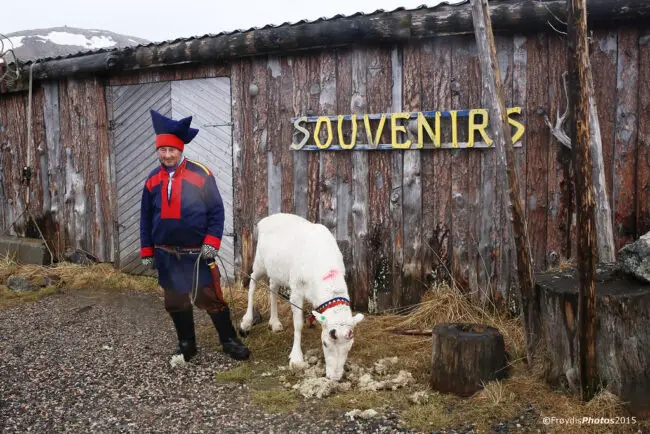 En Norvège, les objectifs climatiques se heurtent aux droits des éleveurs autochtones - L'état de la planète 7 Membre d'une famille sâme en Norvège