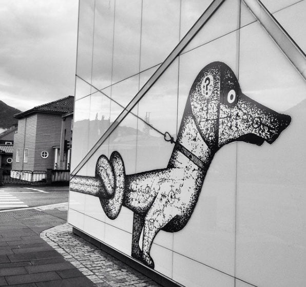 Norvège : C'est un cri 50 Chien dans la rue à Førde