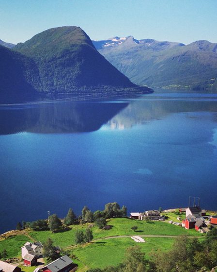 Norvège : C'est un cri 31 Norvège : C'est un cri - 30