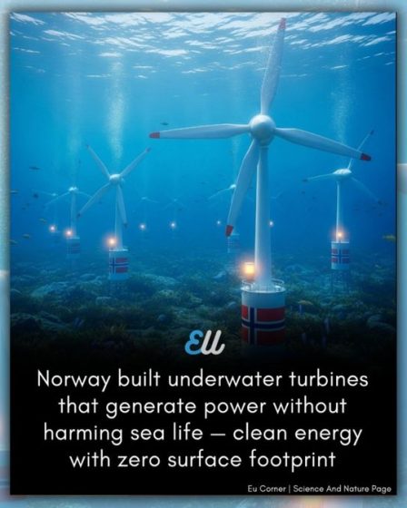Plongée dans les affirmations selon lesquelles la Norvège a installé des turbines sous-marines pour la production d'énergie 8 Plongée dans les affirmations selon lesquelles la Norvège a installé des turbines sous-marines pour la production d'énergie - 7