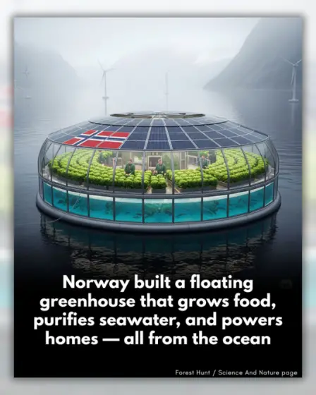 La Norvège n'a pas mis au point une serre flottante appelée "Ocean Bloom". 2 La Norvège n'a pas mis au point une serre flottante appelée "Ocean Bloom". - 1