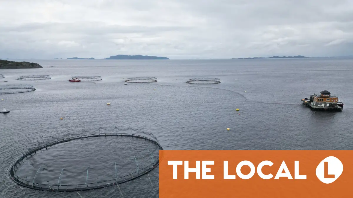 La mort lente et longue du saumon sauvage de Norvège 6 La mort lente et longue du saumon sauvage de Norvège - 5