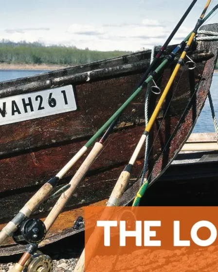 La Norvège s'apprête à battre un record de chaleur estivale vieux de 55 ans 39 La Norvège s'apprête à battre un record de chaleur estivale vieux de 55 ans - 38