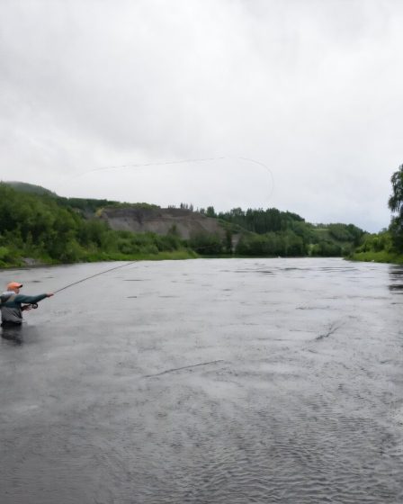 La mort lente et longue du saumon sauvage de Norvège 2 La mort lente et longue du saumon sauvage de Norvège - 1
