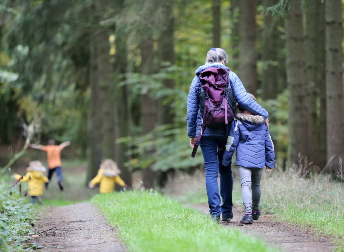 Comment se faire des amis parmi les parents en Norvège 7 Forêt de randonnée