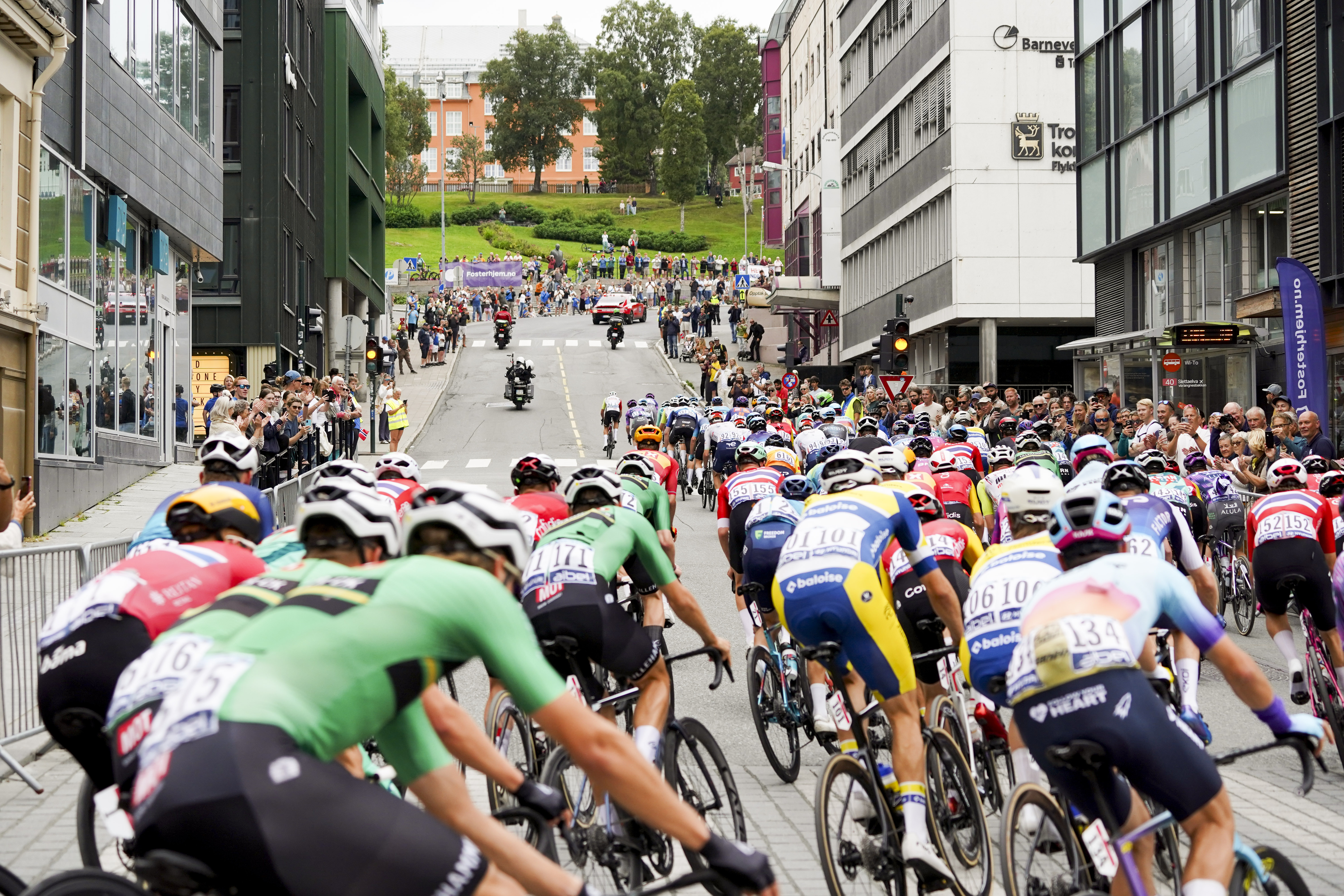 Arctic Race of Norway : Corbin Strong tient tête à Tom Pidcock pour remporter le classement général 10 Le peloton roule sur un circuit vallonné de 16,1 km lors de l'étape 4