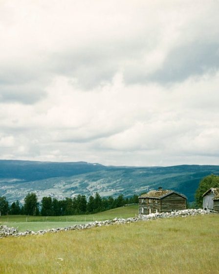 Une pierre sculptée vieille de 3 000 ans mise au jour en Norvège éclaire les rituels de l'âge du bronze 31 Une pierre sculptée vieille de 3 000 ans mise au jour en Norvège éclaire les rituels de l'âge du bronze - 30