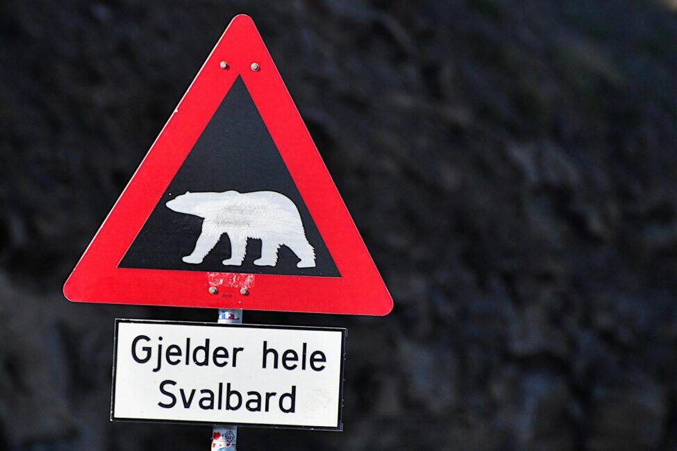 Vous n'avez pas besoin de visa pour vivre et travailler au Svalbard (Norvège) 16 Vous n'avez pas besoin de visa pour vivre et travailler au Svalbard (Norvège) - 15